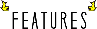 FEATURES