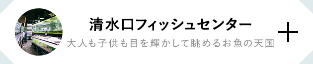 清水口フィッシュセンター 大人も子供も目を輝かして眺めるお魚の天国